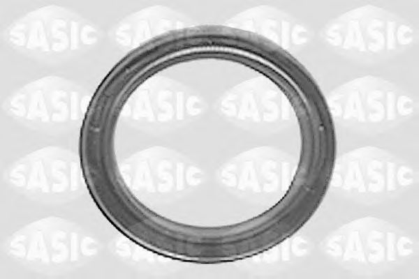 7243183 SASIC Shaft Seal, wheel hub