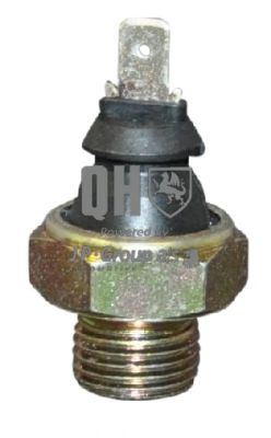 1193502309 JP+GROUP Oil Pressure Switch
