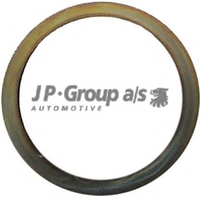 1621100100 JP+GROUP Dichtring, Abgasrohr