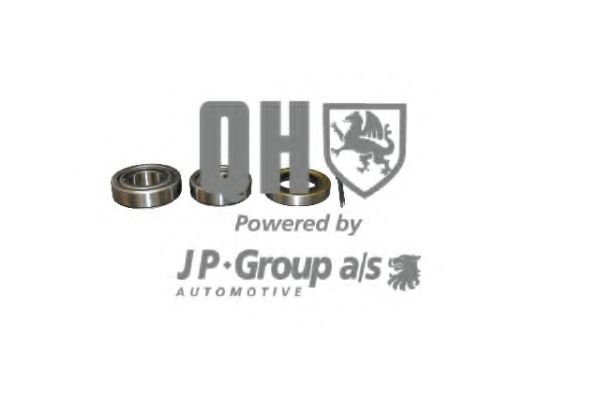 3251300119 JP+GROUP Wheel Bearing Kit