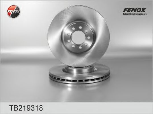 TB219318 FENOX Brake System Brake Disc