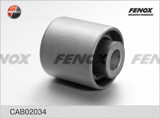 CAB02034 FENOX Track Control Arm