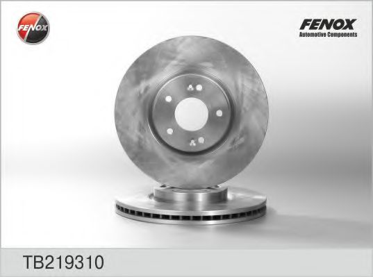 TB219310 FENOX Brake System Brake Disc