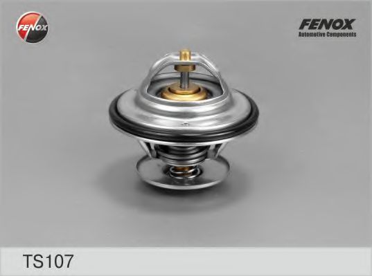 TS107 FENOX Steering Steering Gear