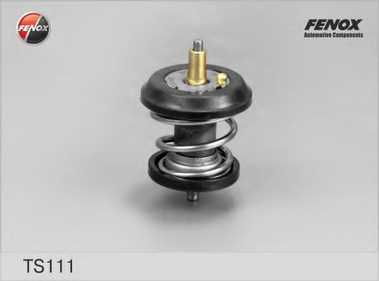 TS111 FENOX Steering Steering Gear
