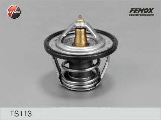 TS113 FENOX Fuel Supply System Fuel Pump