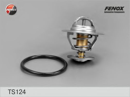 TS124 FENOX Steering Gear