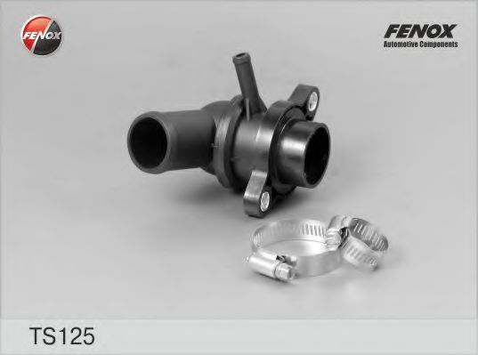 TS125 FENOX Steering Steering Gear