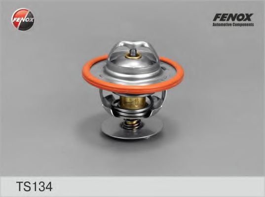 TS134 FENOX Fuel Supply System Fuel Pump