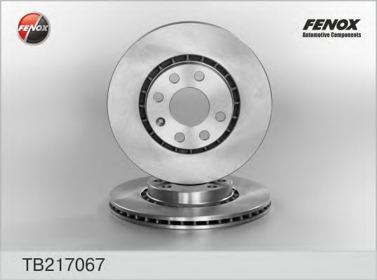 TB217067 FENOX Brake System Brake Disc