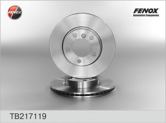 TB217119 FENOX Brake System Brake Disc
