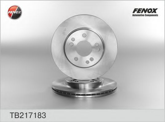 TB217183 FENOX Brake System Brake Disc