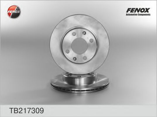 TB217309 FENOX Brake System Brake Disc