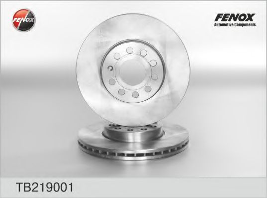 TB219001 FENOX Brake System Brake Disc