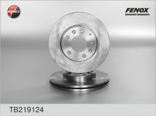 TB219124 FENOX Brake System Brake Disc