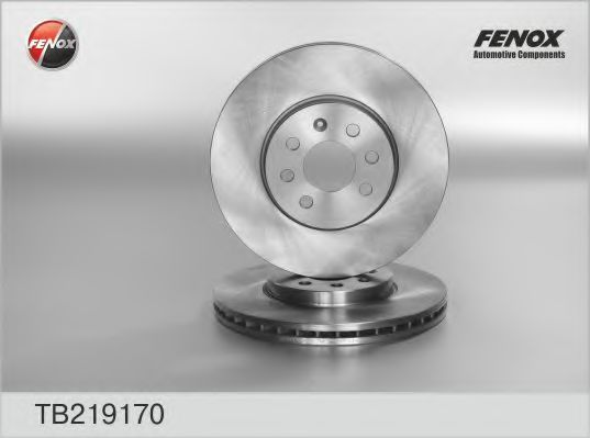 TB219170 FENOX Brake System Brake Disc