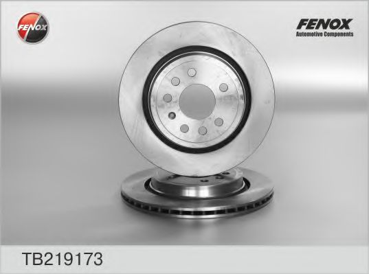 TB219173 FENOX Brake System Brake Disc