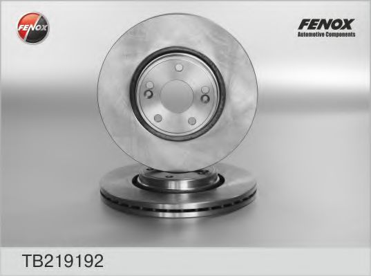 TB219192 FENOX Brake System Brake Disc