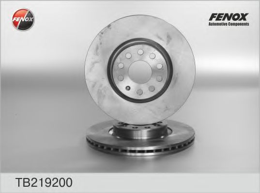 TB219200 FENOX Brake Disc