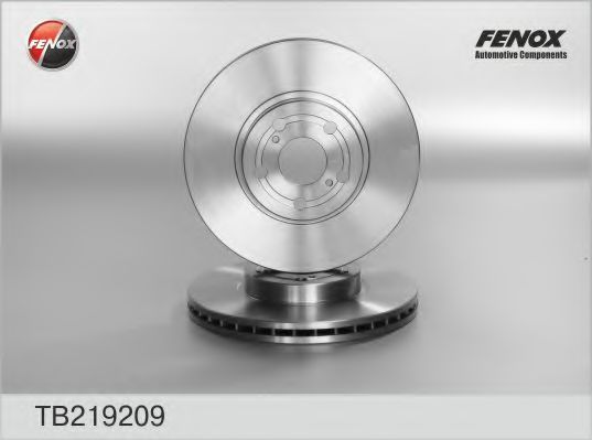 TB219209 FENOX Brake System Brake Disc