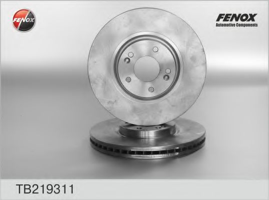 TB219311 FENOX Brake System Brake Disc