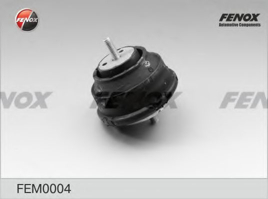 FEM0004 FENOX Lagerung, Motor