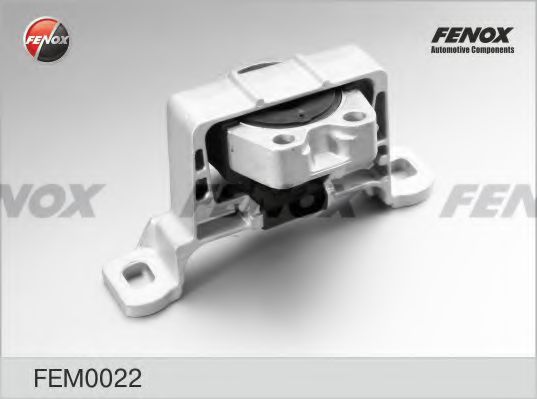 FEM0022 FENOX Lagerung, Motor