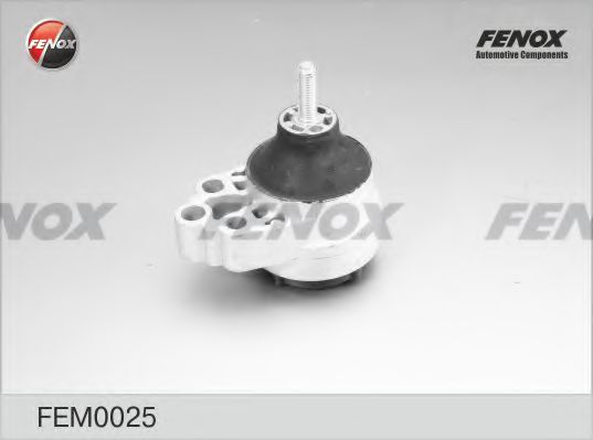 FEM0025 FENOX Lagerung, Motor