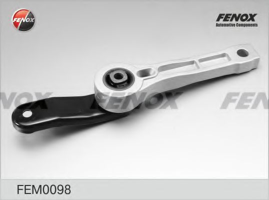 FEM0098 FENOX Engine Mounting