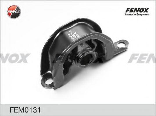 FEM0131 FENOX Lagerung, Motor