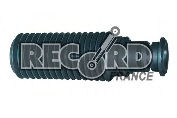 923211 RECORD+FRANCE Oil Pump