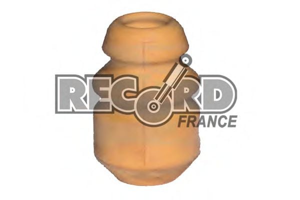 923122 RECORD+FRANCE Drive Shaft