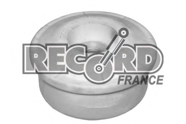 926088 RECORD+FRANCE Bellow Set, drive shaft