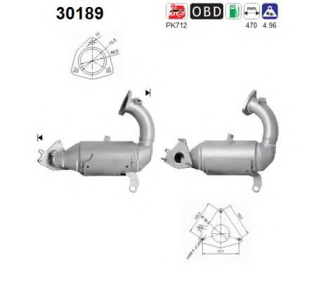 30189 AS Fuel Supply System Fuel filter