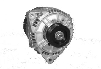 CV PSH 205502120