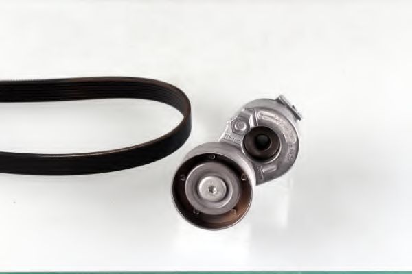 702773 AUTEX Engine Timing Control Shaft Seal, camshaft