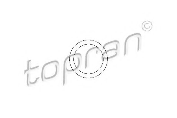 101 105 TOPRAN Wheel Suspension Wheel Bearing