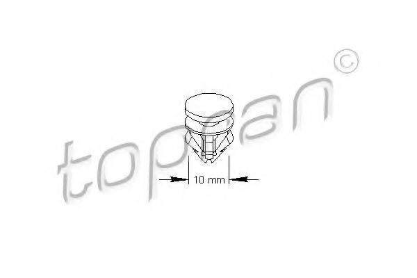 111 491 TOPRAN Clip, trim/protective strip