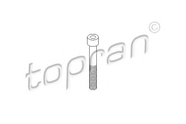 110 707 TOPRAN Bolt, brake caliper