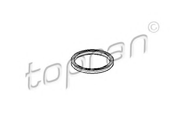 207 409 TOPRAN Air Supply Gasket, charger