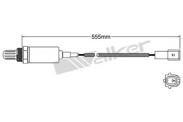 WALKER PRODUCTS 250-21020