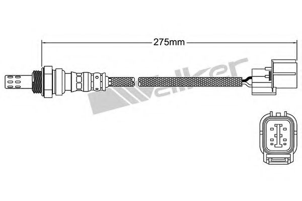 WALKER PRODUCTS 25024602
