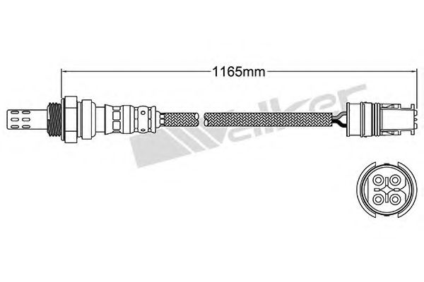 WALKER PRODUCTS 250-24198