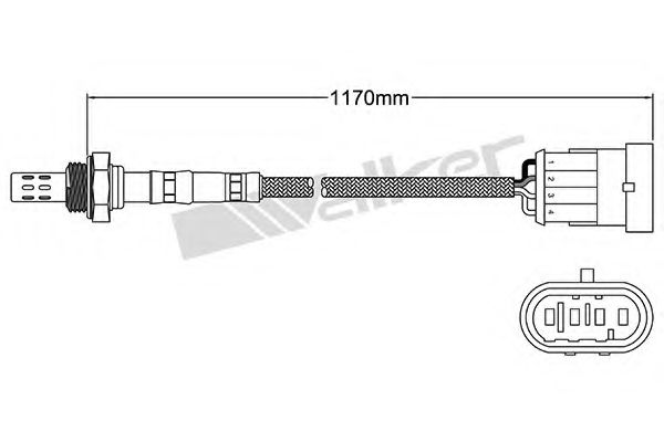 WALKER PRODUCTS 25024530