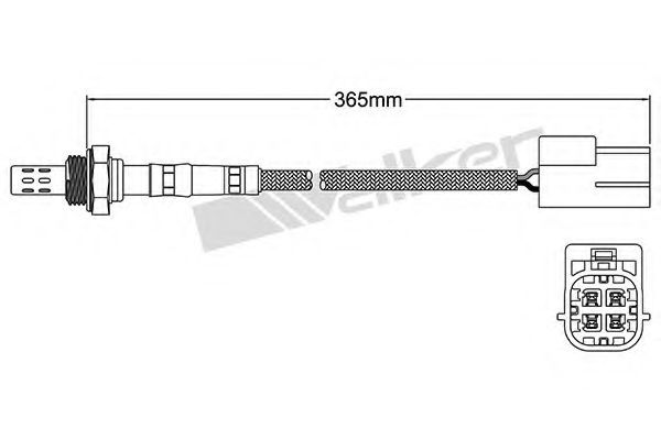 WALKER PRODUCTS 25024437