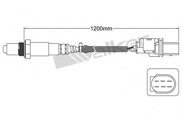 WALKER PRODUCTS 80095006
