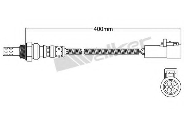 WALKER PRODUCTS 25024301