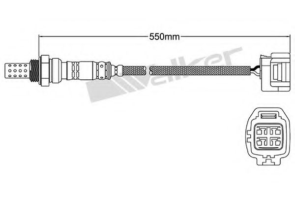 WALKER PRODUCTS 250-24439