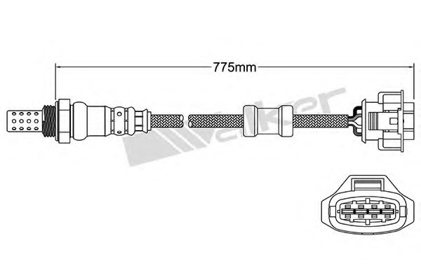 WALKER PRODUCTS 25024682