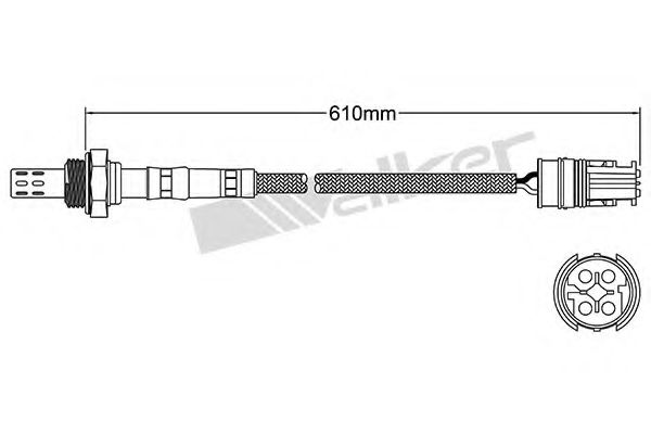 WALKER PRODUCTS 250-24419